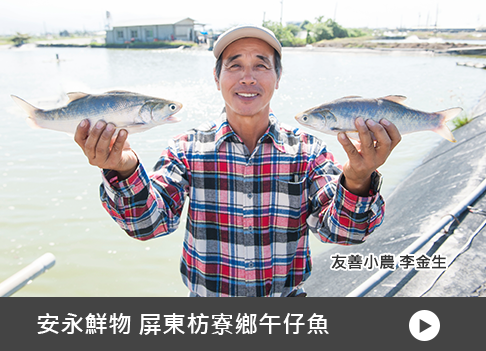 屏東枋寮鄉午仔魚