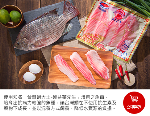 鯛魚<立即購買>