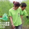 愛買2016瘋台灣：雲林東勢鄉...
